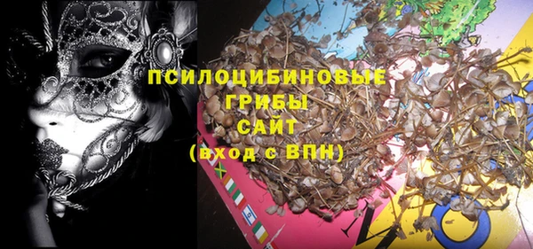 бошки Дмитровск