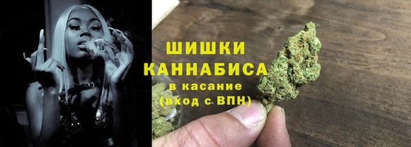 ГАЛЛЮЦИНОГЕННЫЕ ГРИБЫ Елабуга