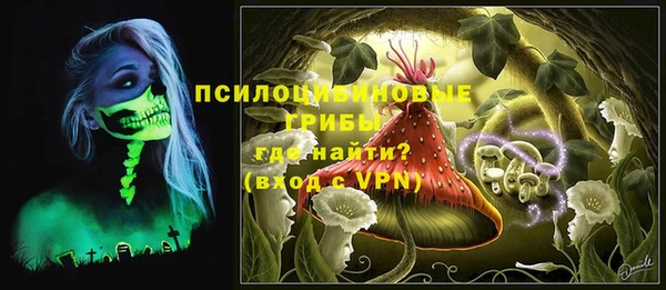 прущий лед Ельня