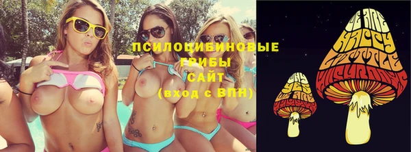 дживик Елизово