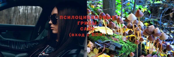 ГАЛЛЮЦИНОГЕННЫЕ ГРИБЫ Елабуга