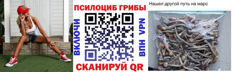 Купить  Томилино  Псилоцибиновые грибы Psilocybine cubensis 